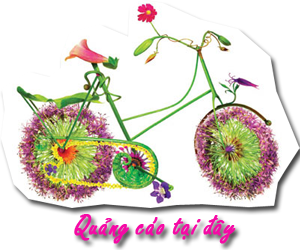 Quảng cáo