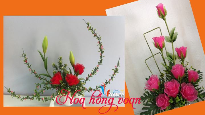 hoa-hong-bang-vai-voan (9)