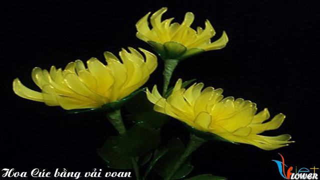 Làm hoa cúc đại đoá bằng vải voan
