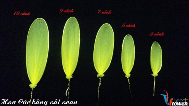 Làm hoa cúc đại đoá bằng vải voan - bước 2