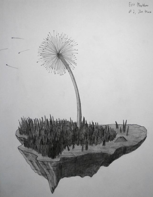 hoa-bo-cong-anh-bang-but-chi-Dandelion-pencil (9)