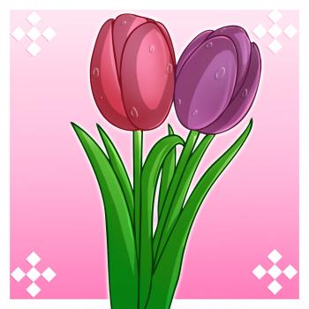 ve hoa tulip
