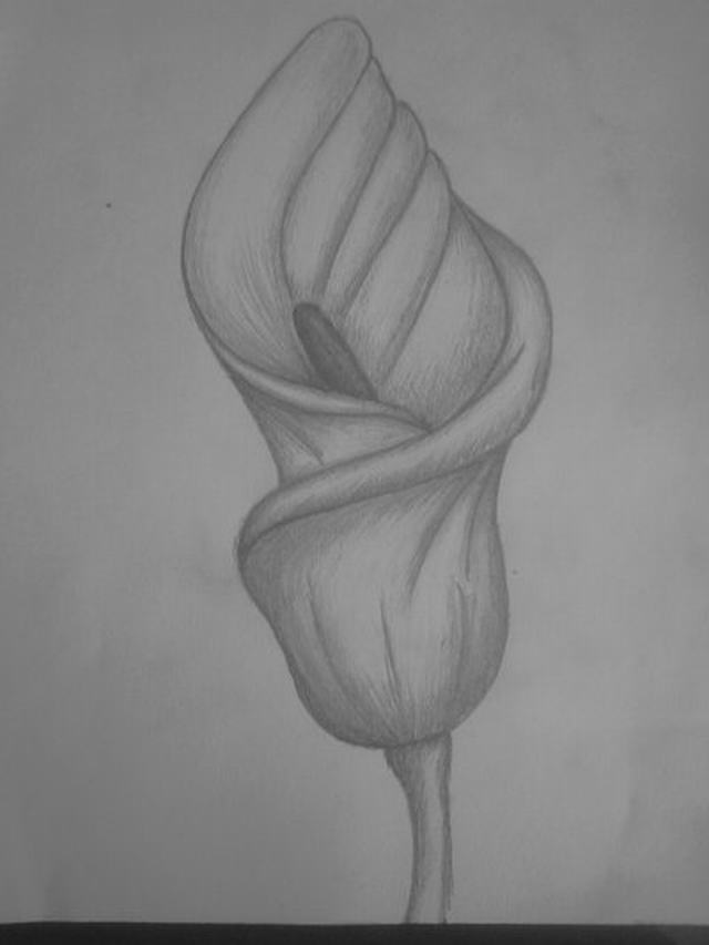 Bức tranh hoa tulip với kỹ thuật vẽ bằng bút chì sẽ khiến bạn cảm thấy ngạc nhiên với độ chi tiết mà nghệ nhân đã đưa vào. Với chút kiên nhẫn và khéo léo, nghệ nhân đã thể hiện được màu sắc và hình dáng của hoa tulip một cách tuyệt vời. Xem nó ngay thôi!