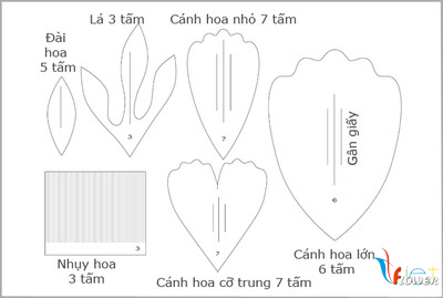 Cách Làm Hoa Mẫu Đơn Bằng Giấy Nhún Đẹp Như Thật