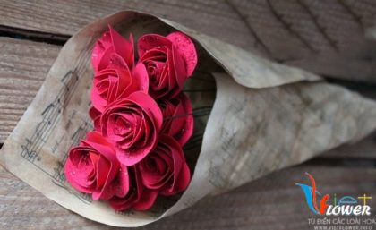 Hoa hồng giấy: Hoa hồng giấy mang đến vẻ đẹp hoàn toàn mới lạ và ấn tượng cho bất cứ ai. Hình ảnh những bông hoa tông đỏ tươi trên nền trắng sáng sẽ khiến bạn bị thu hút bởi sự độc đáo và độ tinh tế của chúng.