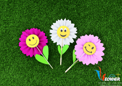 Hoa cười: Năm 2024, những bông hoa cười mang tới tính cách rực rỡ, tươi vui cho không gian trang trí. Đừng chần chừ và cùng nhau tự tay tạo ra những chiếc hoa cười bằng giấy để trang trí phòng sinh hoạt hay một bữa tiệc và hoàn toàn không tốn kém. Chỉ làm đơn giản nhưng bông hoa cười chắc chắn sẽ mang nụ cười trên môi mọi người.